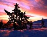 Linnansaari National Park 
