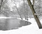 Vondelpark Vondelpark