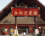 蘑菇王國