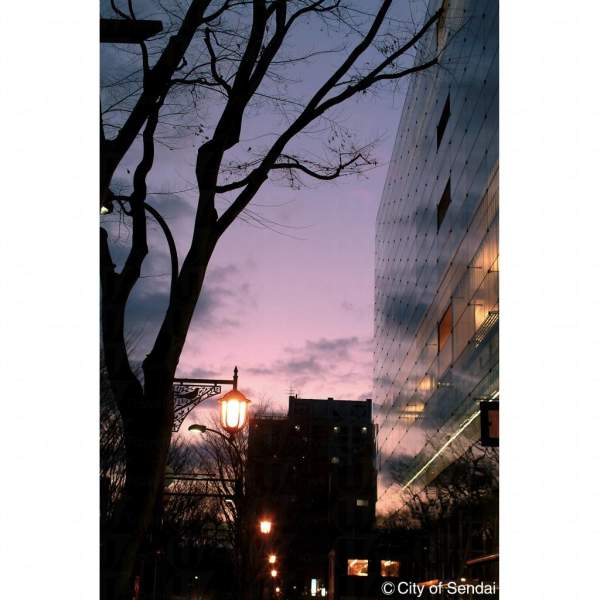 相片來源:仙台市觀光交流課 仙台