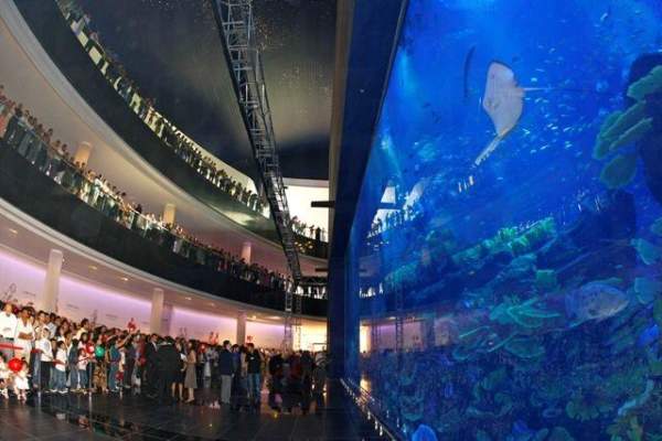 相片來源:Dubai Mall 杜拜