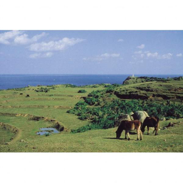 相片來源:沖繩觀光會議局 沖繩