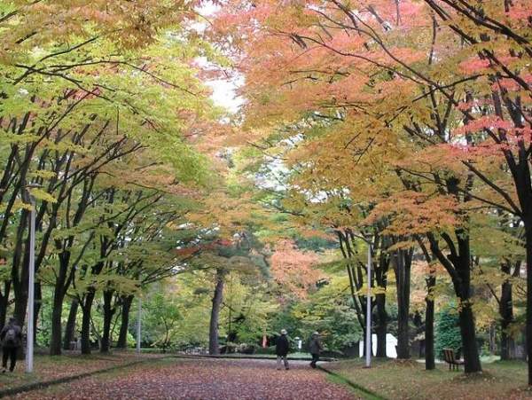 相片來源:kit 青森