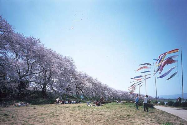 相片來源:福井縣觀光寫真素材集 福井