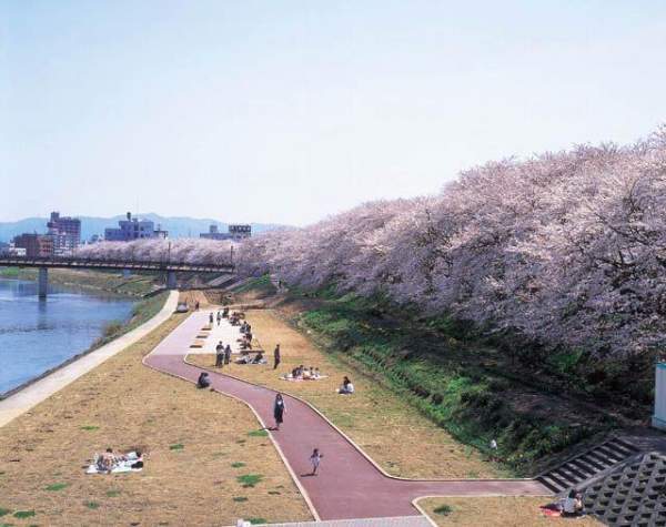 相片來源:福井縣觀光寫真素材集 福井