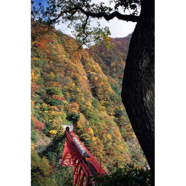 相片來源:立山黑部觀光宣傳協議會 立山黑部