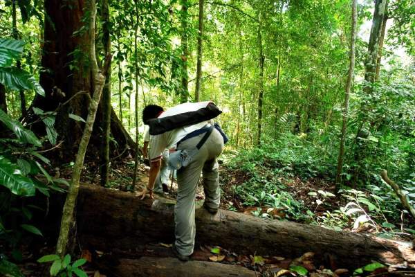 相片來源:沙巴旅遊局 沙巴