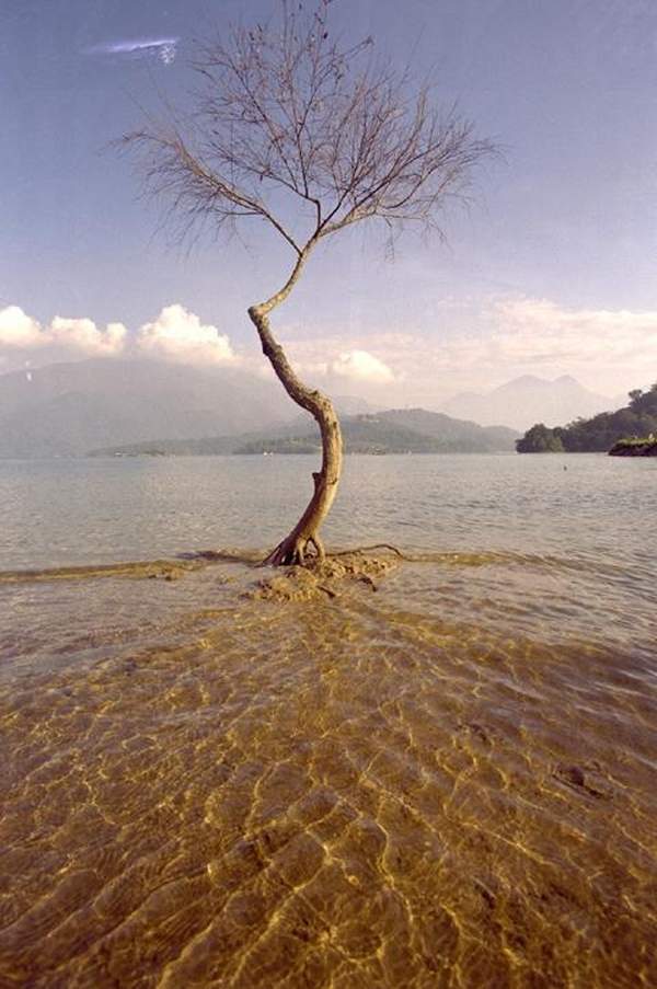相片來源:南投縣政府觀光局 南投