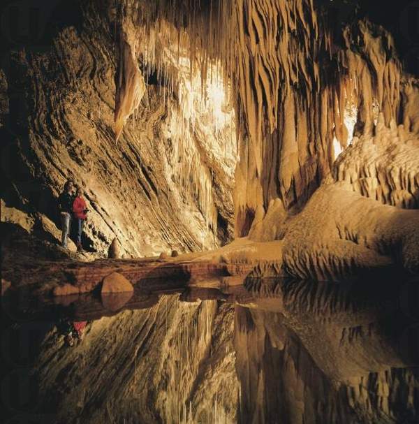 相片來源:Tourism Tasmania and George Apostol 塔斯曼尼亞