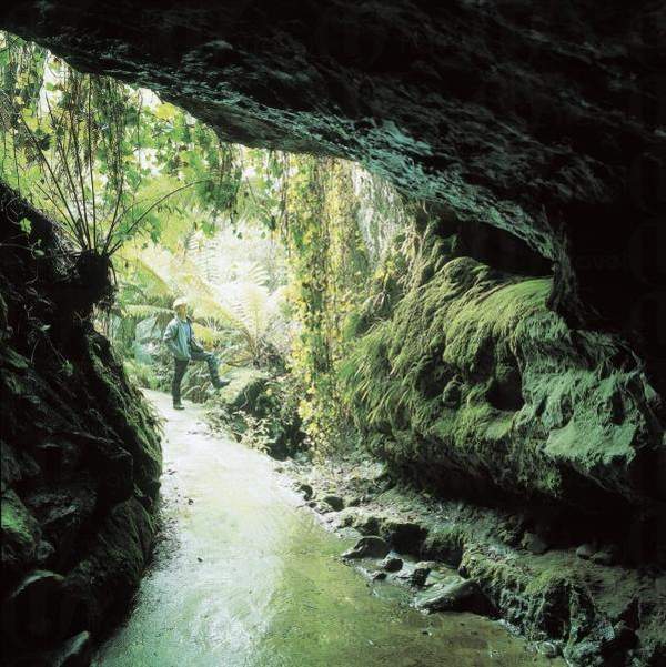 相片來源:Tourism Tasmania and John de la Roc 塔斯曼尼亞