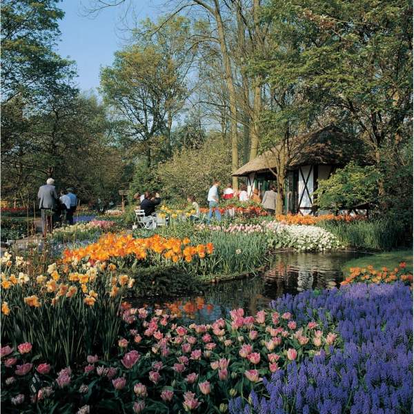 欣賞鬰金香的人群。相片來源:荷蘭旅遊局 阿姆斯特丹