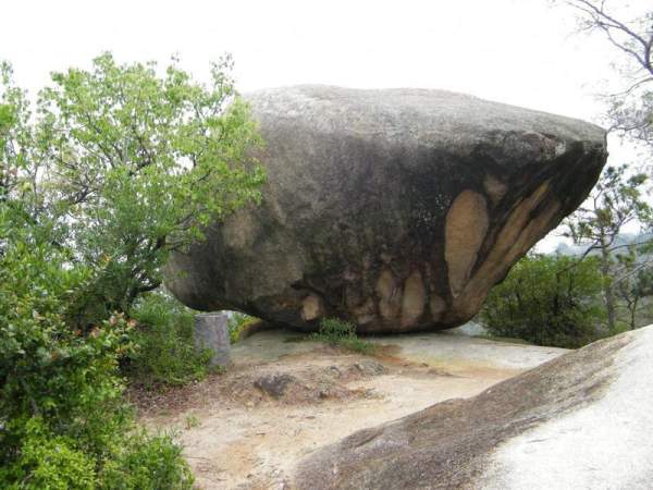 萬石植物園內一景。( 相片來源:廈門亞太旅遊發展中心 ) 廈門