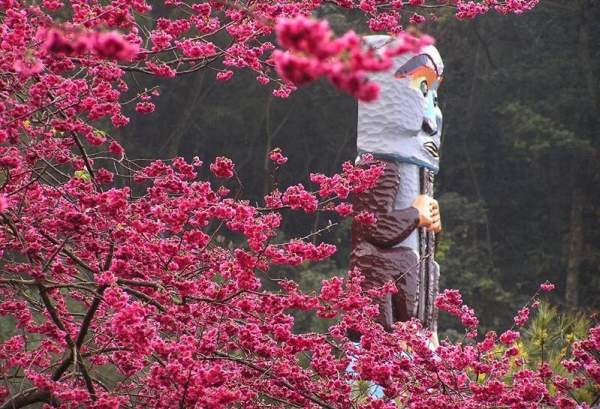 相片來源︰九族文化村 南投