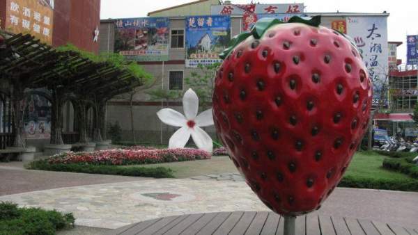 遊客只要一看到這顆巨型士多啤梨,就知道沒找錯地方了﹗ 苗栗