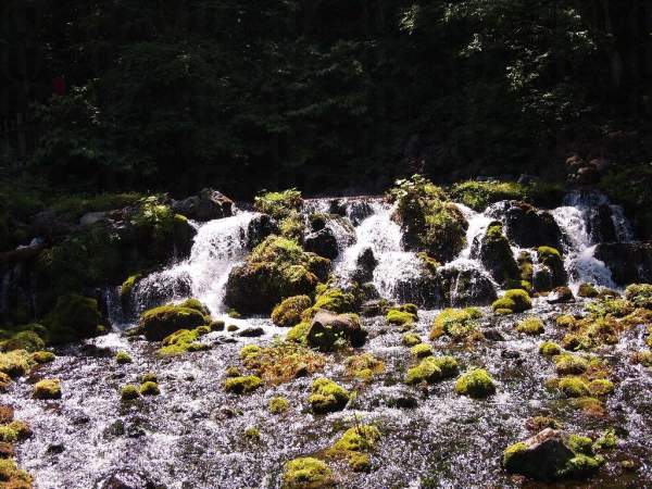 Fukidashi 公園位於羊蹄山山腳。 二世古