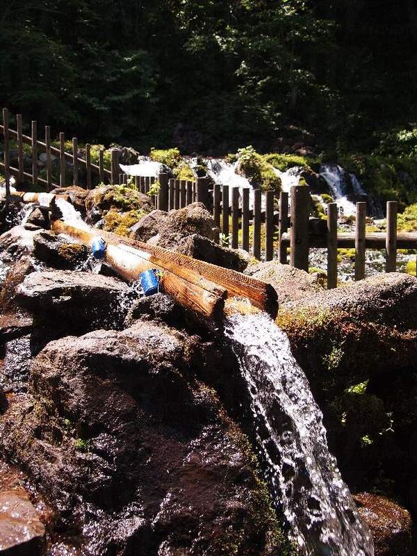 川流不息的泉水來自羊蹄山,喝一口即時解喝。 二世古