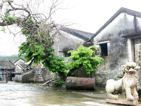 老屋新樹石獅子,猶如一幅美好的傳統中國畫作。 深圳