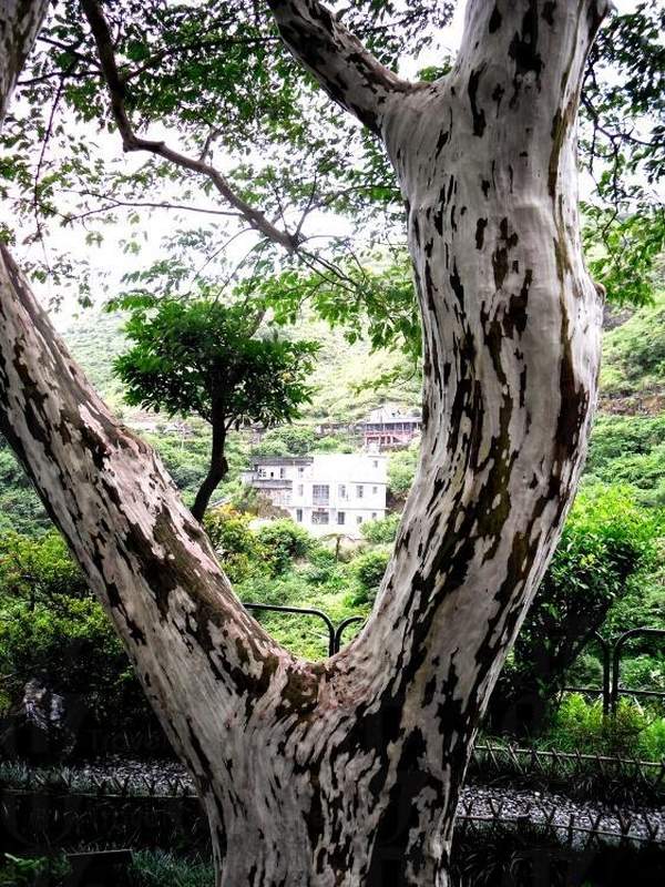 從金礦博物館俯瞰的景色。 台北