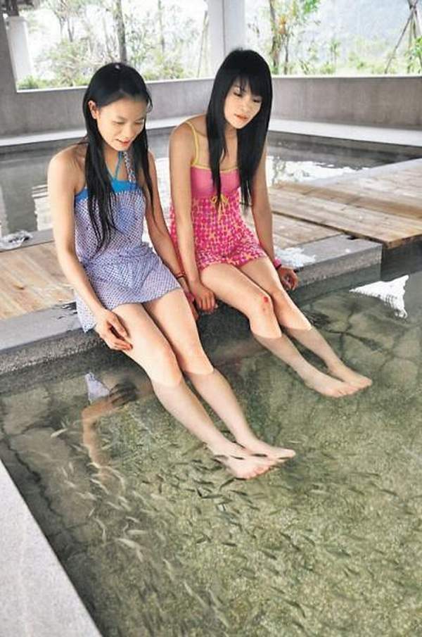 度假村的土耳其神奇魚療池甚得一眾住客歡心。 廣東省其他