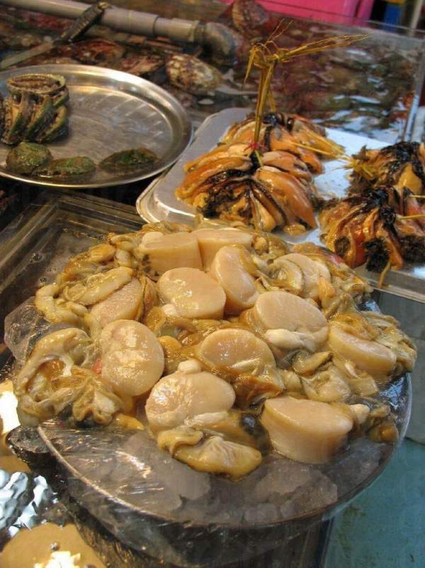 大如手掌的帶子! 釜山