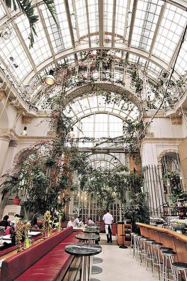 坐在百年溫室的 Palmenhaus 餐廳吃飯,似在熱帶雨林中野餐。 維也納
