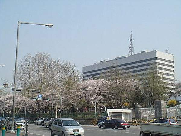 剛健的戰爭紀念館旁長滿了櫻花。(相片來源:網上圖片) 首爾