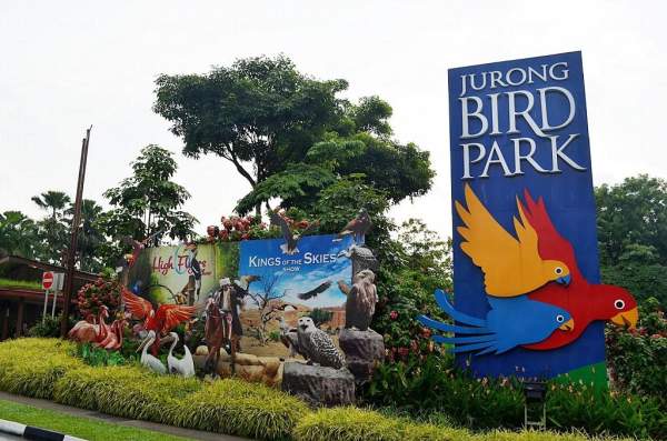 裕廊飛禽公園 新加坡
