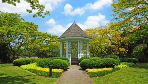 新加坡植物園 新加坡