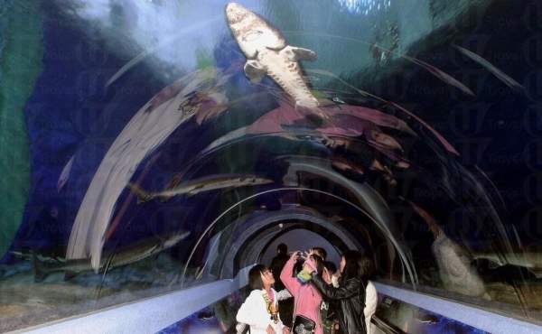 海洋公園 香港
