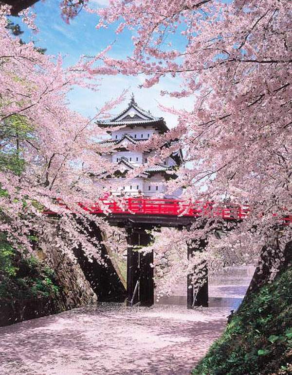 相片來源:東北観光推進機構 青森