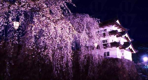 相片來源:イベントチェッカー 青森